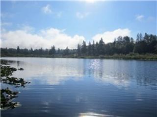 606 244th Ave, Redmond WA  98074-3411 exterior