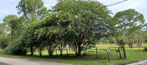 32439 Highland Lakes Rd, Deland, FL 32720-6294