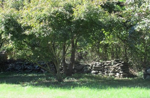 101 Shale Dr, Middletown NY  10940-7121 exterior