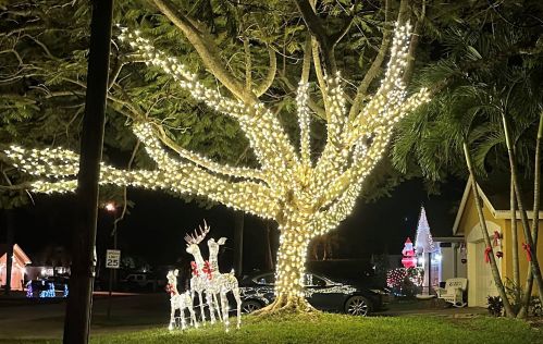 6202 Francis St, Jupiter FL 33458-6718 exterior