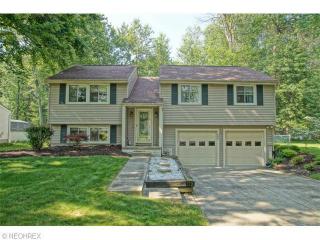 7591 Brainard Ct, Concord Township, OH 44060-3907