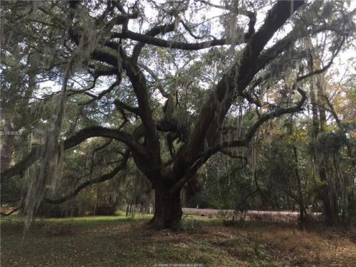 48 Camp Saint Mary Rd, Bluffton, SC 29909-3706