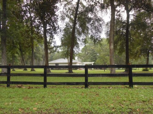 5000 136th Pl, Anthony, FL 32617-2544