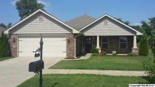 837 Riv Lndg Blvd, Madison AL  35756-5610 exterior