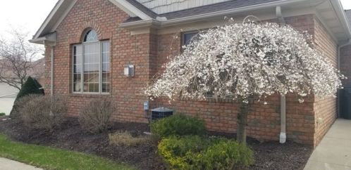 1230 Saint Abigail St, Hartville OH  44632-8542 exterior