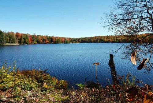 382 Pondview Rd, Taconic Lake, NY 12138-5726