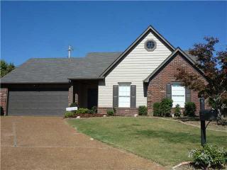 9528 Chi Chi Cv, Lakeland, TN 38002-4289