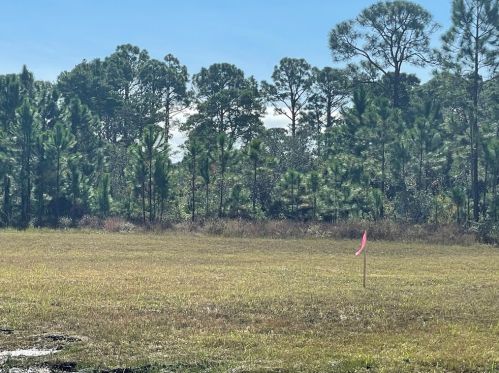 160 Las Brisas Way, Saint George Island, FL 32328-3229