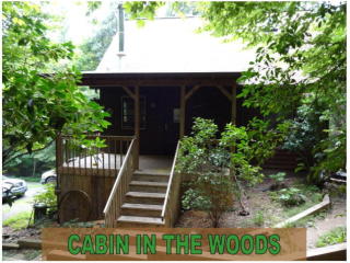 1059 Campbell Glen Ln, Fleetwood, NC 28626-9360