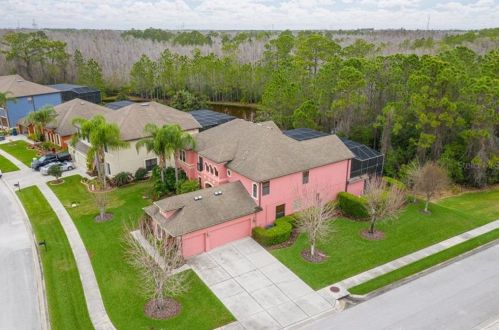 14909 Ninebark Ct, Land O Lakes, FL 34638-6920