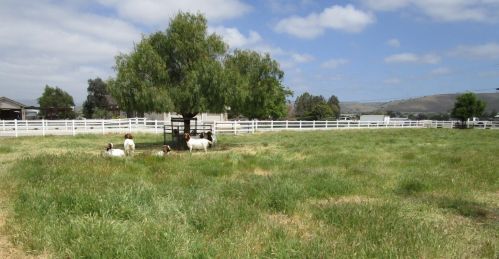 505 Caballo Ct, Hollister CA  95023-9055 exterior