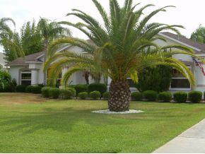 4373 Long Lake Rd, Melbourne, FL 32934-8593