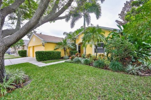 10203 Ashley Oaks Dr, Riverview, FL 33578-8847