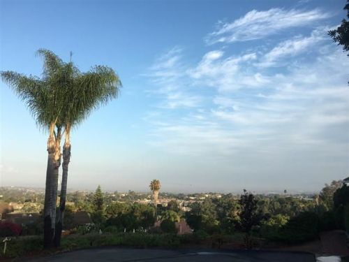 1987 Warmlands Ave, Vista, CA 92084-3333