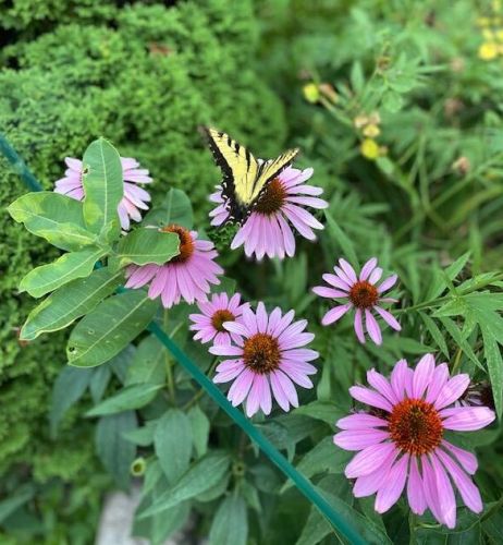 3617 Lenox St, Milwaukee WI 53207-5240 exterior