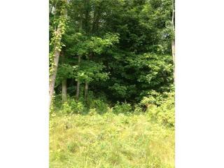117 Fallen Ash Dr, Granville, OH 43023-8041