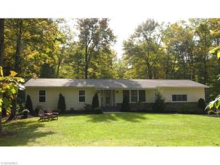 9005 Forest Ln, Chesterland, OH 44026-3123