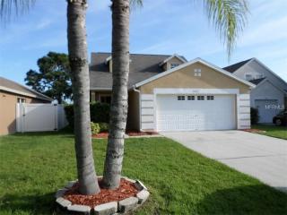 8707 Persea Ct, New Port Richey, FL 34655-5332