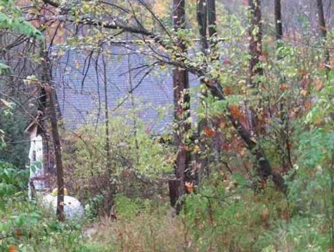 12809 Guernsey Hollow Rd, Frewsburg, NY 14738-9610