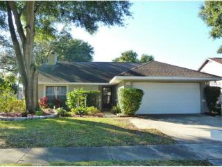 1423 Cloverfield Dr, Brandon, FL 33511-8382