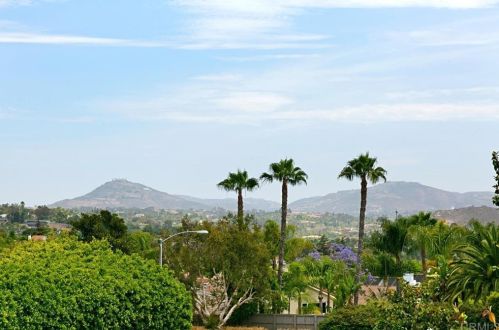 925 Summer Holly Ln, Encinitas, CA 92024-6838