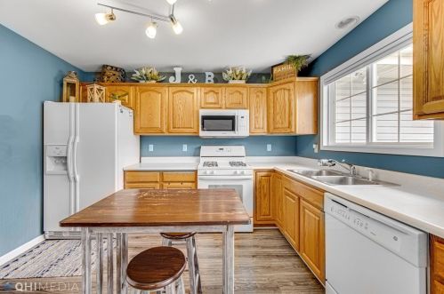 11625 Homestead Vlg Ct, Dyer IN 46373-9141 exterior