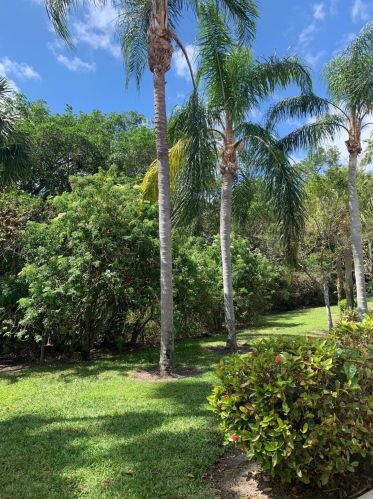 4790 Valencia Dr, Delray Beach, FL 33445-5329
