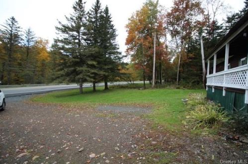 244 Main St, Lew Beach NY  12758-5409 exterior