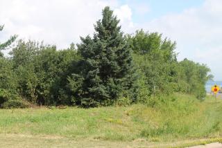2201 Campbell Dr, Lac Du Flambeau Reservation, WI 54806-3639