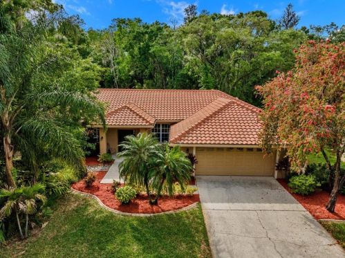 1362 Lake Woodlands Pkwy, Oldsmar, FL 34677-1923