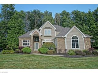 5831 Birdie Ln, Concord Township OH  44060-0906 exterior