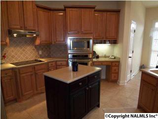 417 Thoreau Spring Rd, Madison AL  35758-3645 exterior