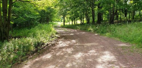 83 Yaun Rd, Lew Beach, NY 12758-7025