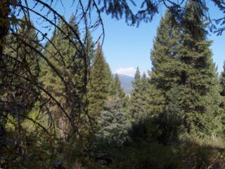 517 Collier View Rd, Warm Lake, ID 83611