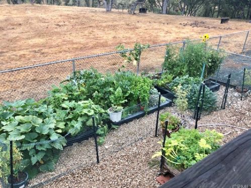 3243 Eagle Point Ln, Lake Nacimiento CA  93446-4130 exterior