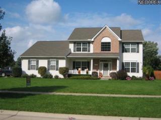 36250 Falcon Crest Ave, Avon, OH 44011-1865