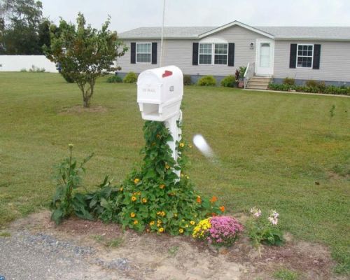 430 Rachel Dr, Harrington, DE 19952-2499