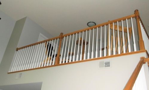 11820 Broadway, Crown Point IN  46307-8877 exterior