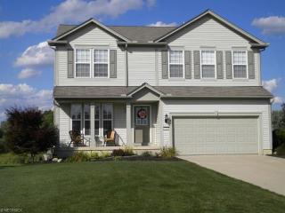 5343 Royal Brook Dr, Medina, OH 44256-6210