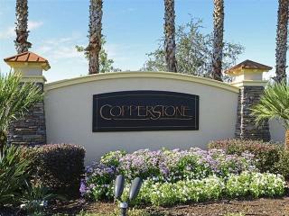 11212 77th St, Parrish, FL 34219-2754