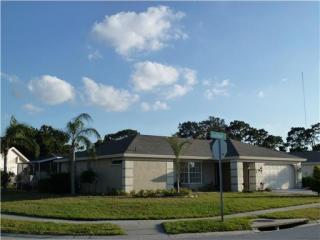 2812 Southfield Ct, Tarpon Springs, FL 34691-2505