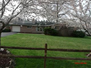 7482 Beech Run Rd, Nimitz, WV 25978