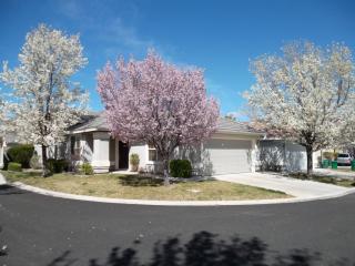 9741 Ripple Way, Reno, NV 89521-5827