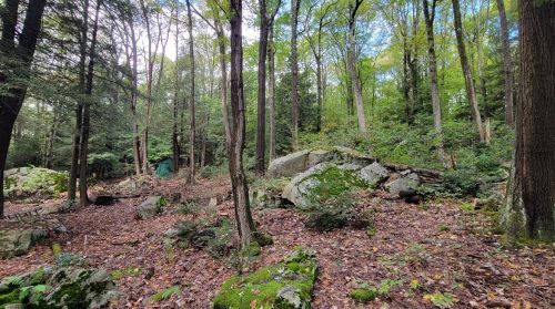 1154 Glades Pike, Somerset PA  15501-5804 exterior