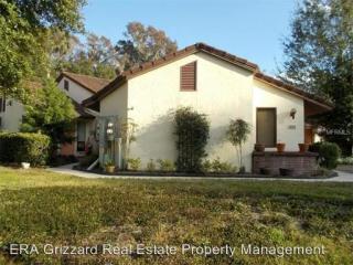 404 Clusterwood Dr, Howey In The Hills FL  34797-3106 exterior