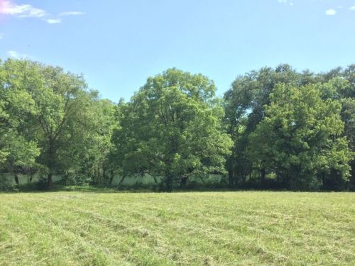 705 Riverbend Trl, Charleston, TN 37310-6130