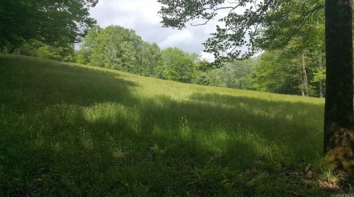 171 Cole Rd, Hurleyville NY  12747-5036 exterior