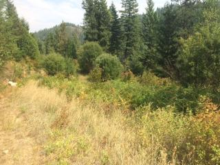 9554 Spring Valley Rd, Newport, WA 99156