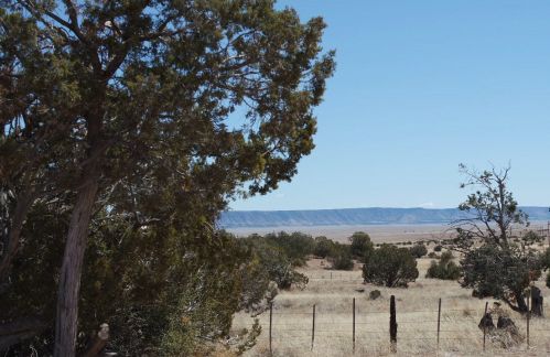 39110 Old Highway 66, Seligman, AZ 86337-9996