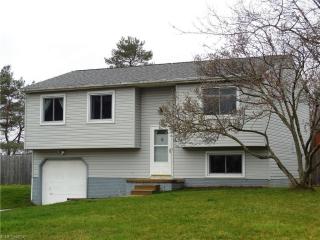9295 Flora Dr, Streetsboro, OH 44241-8311